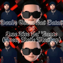 Dónde Están Las Gatas VS Que Tire Pa' 'Lante (Avery Ro5e Mashup)