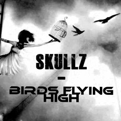 SkullZ - Birds Flying High