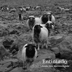 Lakeside View Apartments Suite