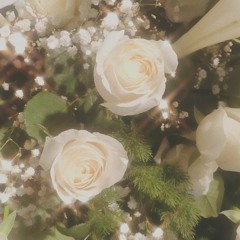 Dream a Little Dream of Me - Cover Song by Isabel ft. Prima