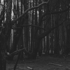 Forest Night_dark/Hitech_180bpm(KrennaBal)