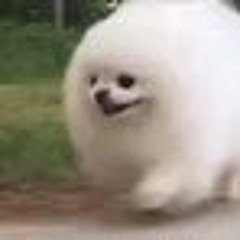 Carole & Tuesday - KISS ME  little try