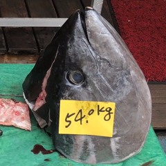 Fish market