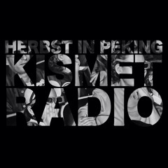 HERBST IN PEKING - Big City Life (feat. !The Same)