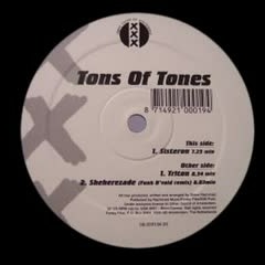 Tons of Tones - Sheherezade (Funk D'Void Remix)