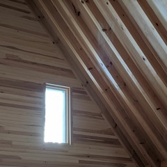 I Could Write A Book