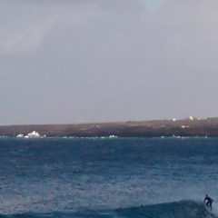 sec walkin - MMJ (cover)