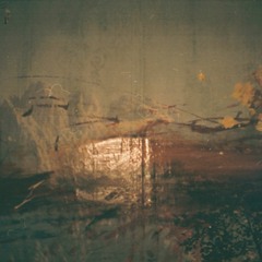 ambient