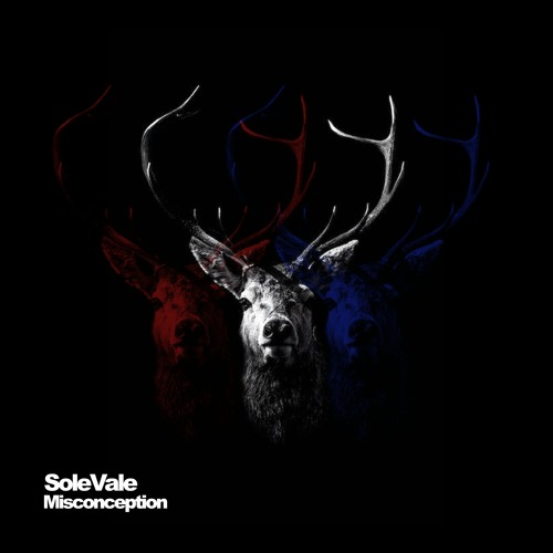 Misconception [Free Download]