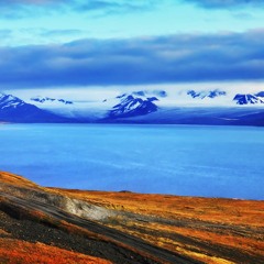 أواخر سورة البقرة بصوت الشيخ هزاع البلوشي