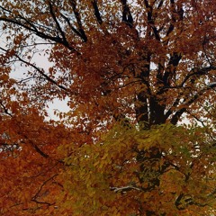 Short Day: 1. The Passing of the Hours