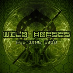 Organic Vibrations at Wild Horses 2019