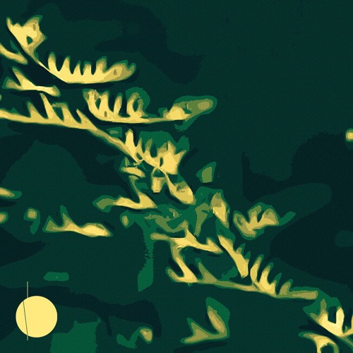 Log 013 - Polygonia