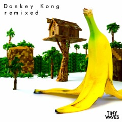 James Landino - Donkey Kong Country
