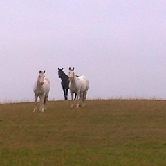 Steve & Samantha, 'Pain Killer' (2019). Courtesy the artists.