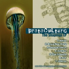 Soil from PROTOCULTURE The Shapings EP