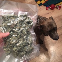 DO MY BAG SMELL???