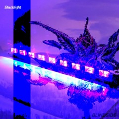 Night Life (Sunlight Veins) - Original Mix