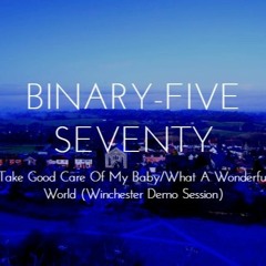 Take Good Care Of My Baby/What A Wonderful World (Winchester Demo Session)