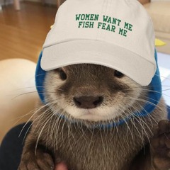 otter business