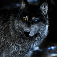 Mechanical Wolf [145 BPM]