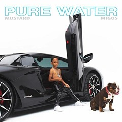 SLB - Pure Water Rmx