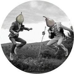 ItaloBros, Gemini 529 - Jumpin (Original Mix)