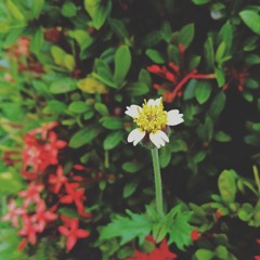 caniknockatyourbedroomdoor