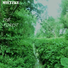 A JOURNEY from THE FOREST