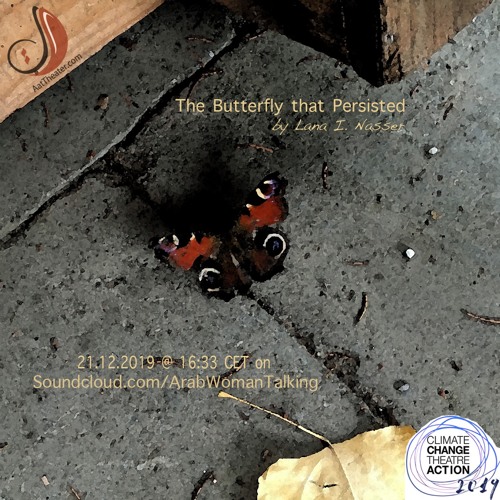 The Butterfly That Persisted & A talk