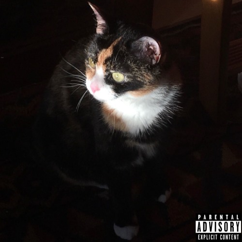 Daylight (feat. Mad Wise 147) [prod. Ian]