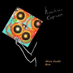 Mizu Asobi - Dim [RER016]