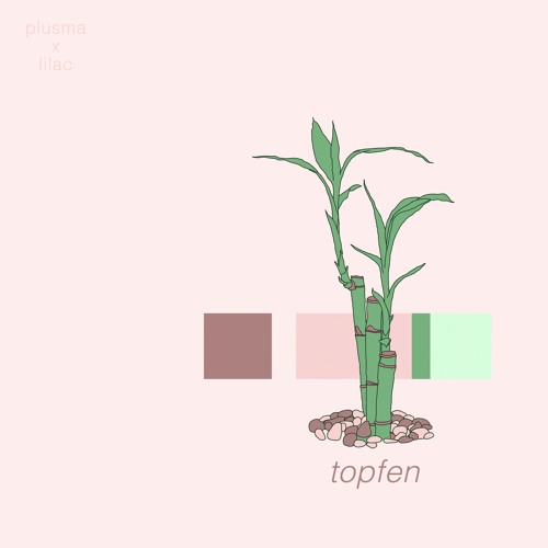 plusma x lilac - topfen