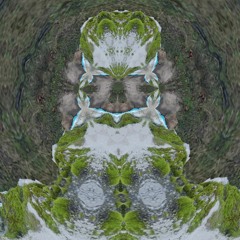 tomfoolish - resident Or participant