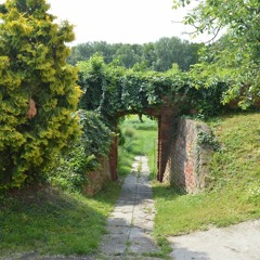 Oneil - Világbékeshow km. RB , D2 Crew , Fázis MC