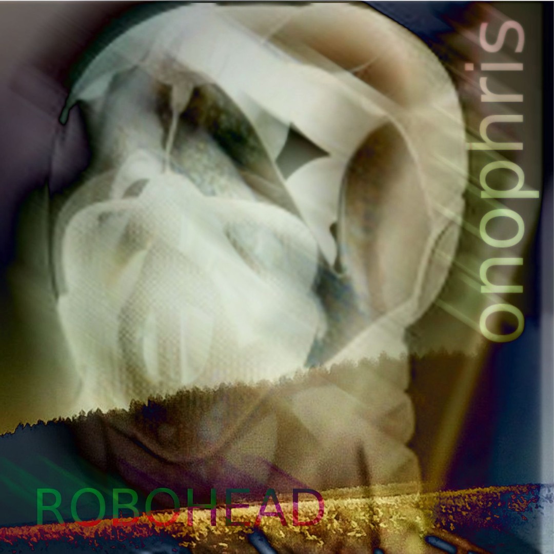 Robohead
