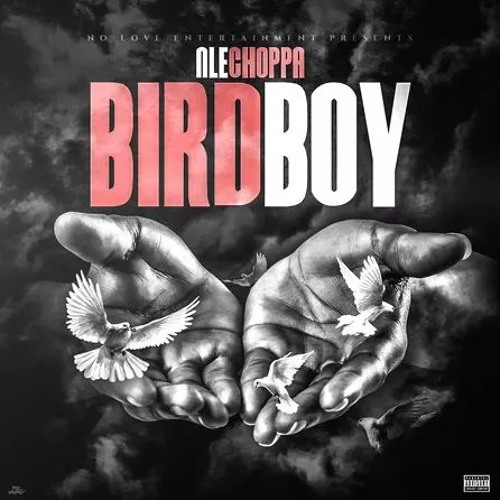 NLE Choppa - Birdboy