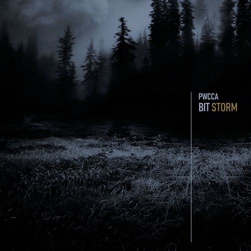 PWCCA - Bit Storm / Live act - 21/12/2019