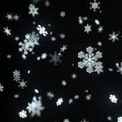 Snowflakes At Midnight