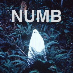 NUMB [MUSIC VIDEO IN DESCRIPTION]