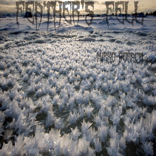Feathers Fell (Fretless Bass Instrumental)