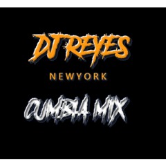 CUMBIA MIX VOL 1. - DJ REYES NY