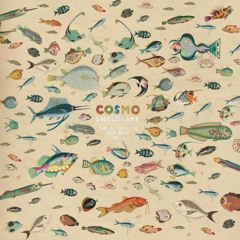 Cosmo Sheldrake - Birthday Suit (Ruthless Remix TP001)
