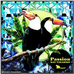 [jubeat festo 音源] Passion - KAN TAKAHIKO