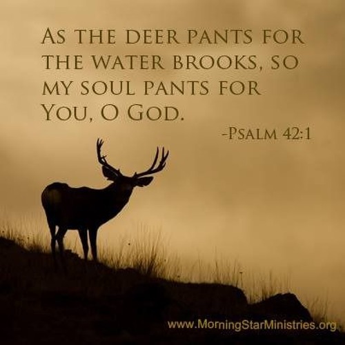 Chapter 1: “As the Deer” (The Maranatha Singers!)
