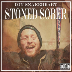 Is This Punk Enough, Mom?