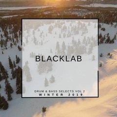 Blacklab Selects Vol 2: Winter 2019