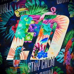 Ed`s 2019 End of the year Tekk Mix (Maytrixx,Rothii,Luzzifer,...)