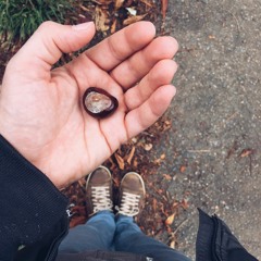 La castagna matta (Natale all'ospedale)