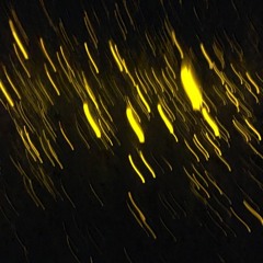 tech/house brain trust